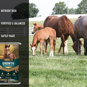 TRIBUTE Kalmbach Feeds Growth Pellets for Horse, 50 lb