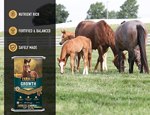 TRIBUTE Kalmbach Feeds Growth Pellets for Horse, 50 lb