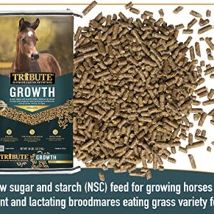 TRIBUTE Kalmbach Feeds Growth Pellets for Horse, 50 lb