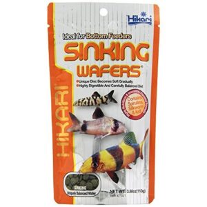 hikari tropical sinking wafers for catfish, loaches and bottom feeders 3.88 ounces [2-pack]