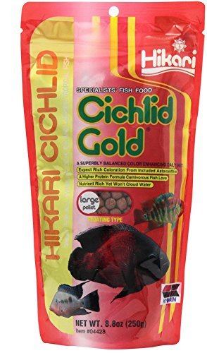 Hikari 8.8-Ounce Cichlid Gold Floating Pellets for Pets, Large [2-Pack[