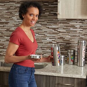 Kitchen Canisters By Home Basics | Retro-Styled For Kitchen Counter | Stainless Steel and Glass | With See-Through Windows (Silver), 4 Pieces, For Flour, Coffee, Sugar, and Dry Ingredients