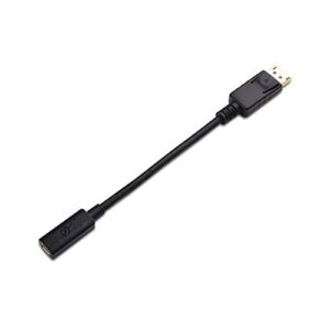 Cable Matters DisplayPort to Mini DisplayPort Adapter (DP to Mini DP) - 6 Inches