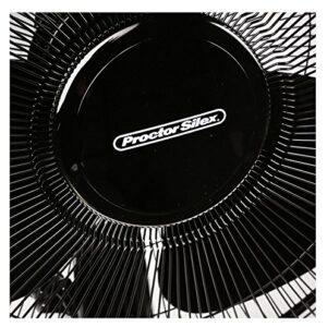 Proctor Silex Stand Fan, 16-Inch, Black