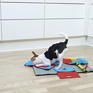 Kruuse Task for Buster Activity Mat, Springroll