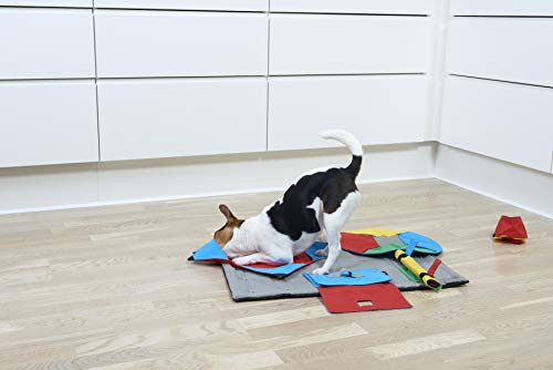 Kruuse Task for Buster Activity Mat, Springroll