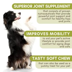 Wholistic Pet Organics Run Free: Dog Joint Health Supplement Glucosamine Chondroitin for Dogs Arthritis Pain Relief Joint Supplement Dog Calming Treat