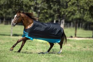 horseware mio medium turnout blanket 60 black