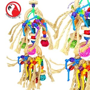 Bonka Bird Toys 1845 Pluck My Rings Colorful Natural Foraging Chew Wood Preen Sisal Vine Parrot Amazon African Grey Conure Rosetta Cockatiel Parakeet