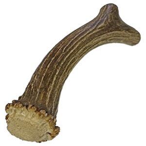 whitetail naturals | premium deer antlers for dogs (extra large) | all natural antler dog chew | naturally shed, long lasting chew bone, made in usa