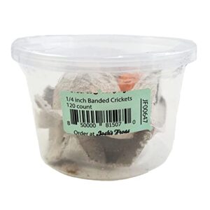 josh's frogs 1/4" banded crickets (120 count)