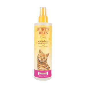 burt's bees for pets cat natural waterless shampoo with apple and honey | cat waterless shampoo spray | easy to use cat dry shampoo for fresh skin and fur without a bath | made in the usa, 10 oz