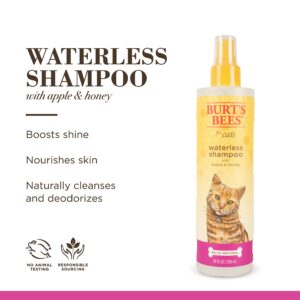 Burt's Bees for Pets Cat Natural Waterless Shampoo with Apple and Honey | Cat Waterless Shampoo Spray | Easy to Use Cat Dry Shampoo for Fresh Skin and Fur Without a Bath | Made in the USA, 10 Oz