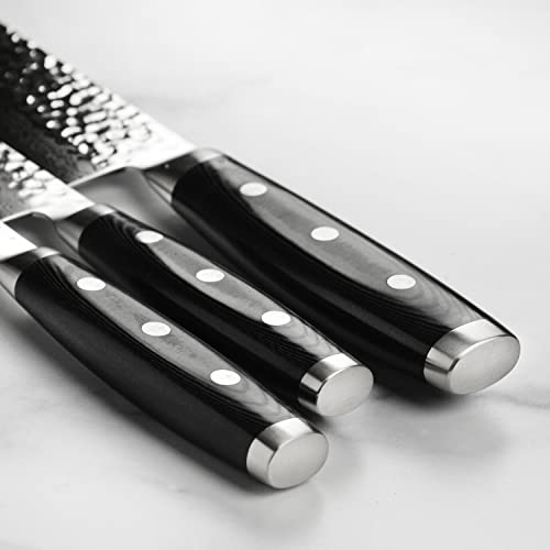 Enso HD Knife Set - Made in Japan - VG10 Hammered Damscus Japanese Stainless Steel - Cutlery Set with Chef's, Utility & Paring Knives