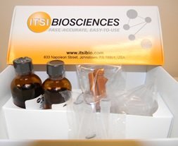 Total Protein Assay Kit (ToPA-20) with BSA Protein Standard