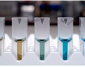 Total Protein Assay Kit (ToPA-20) with BSA Protein Standard