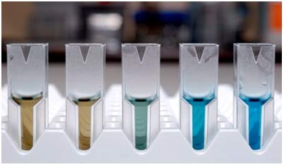 Total Protein Assay Kit (ToPA-20) with BSA Protein Standard