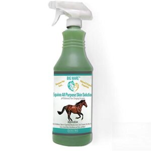 big mare all purpose horse skin & wound care | 32oz bottle | first aid: for girth itch, crud, itchy manes & tails & hair loss | veterinarian approved & recommended