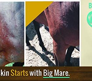 Big Mare All Purpose Horse Skin & Wound Care | 32oz Bottle | First Aid: for Girth Itch, Crud, Itchy Manes & Tails & Hair Loss | Veterinarian Approved & Recommended