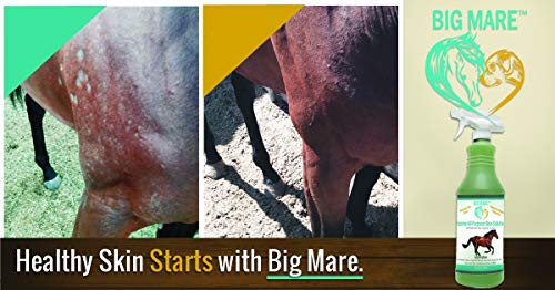 Big Mare All Purpose Horse Skin & Wound Care | 32oz Bottle | First Aid: for Girth Itch, Crud, Itchy Manes & Tails & Hair Loss | Veterinarian Approved & Recommended