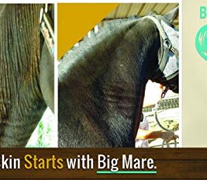 Big Mare All Purpose Horse Skin & Wound Care | 32oz Bottle | First Aid: for Girth Itch, Crud, Itchy Manes & Tails & Hair Loss | Veterinarian Approved & Recommended