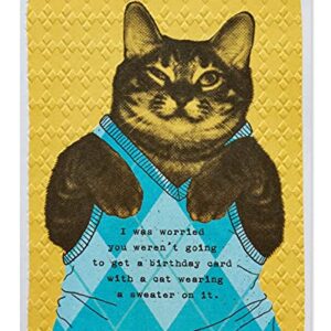 American Greetings Funny Birthday Card (Cat Wearing Argyle Sweater)