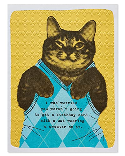 American Greetings Funny Birthday Card (Cat Wearing Argyle Sweater)