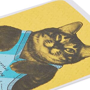 American Greetings Funny Birthday Card (Cat Wearing Argyle Sweater)