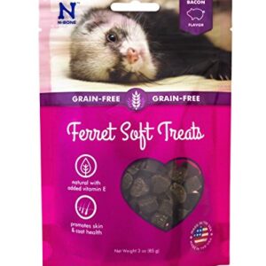 N-Bone 1 Pouch Ferret Soft Treats Bacon Flavor, 3 Oz