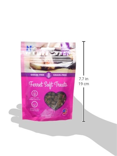 N-Bone 1 Pouch Ferret Soft Treats Bacon Flavor, 3 Oz