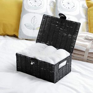ARPAN Small Resin Woven Storage Basket Box with Lid & Lock-Black