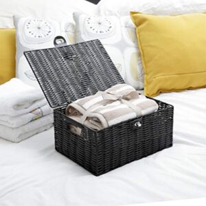 ARPAN Medium Resin Woven Storage Basket Box With Lid & Lock - Black