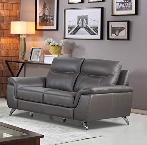 Cortesi Home Chicago Leather Loveseat, 66", Grey