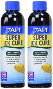 api liquid super ick cure, 8-ounce (2 pack)