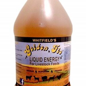 Golden Flo Livestock Liquid Energy, Gallon