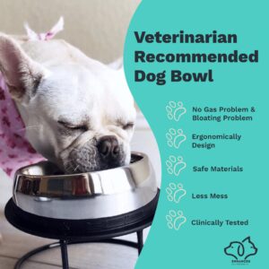 Enhanced Pet Bowl, Stainless Steel Slanted Dog Bowl with Raised Ridge for Flat-Faced Dog Breeds or Cats, Food-Grade Non-Slip No Spill Bowl for Dogs, Less Mess, Less Gas, and Better Digestion, Medium