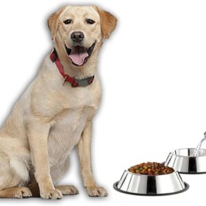 GPET Dog Bowl 32 Oz Stainless Steel Bowls with Anti-Skid Rubber Base for Food or Water Perfect Dish for Dog Puppy Cat and Kitten (2 Pack)