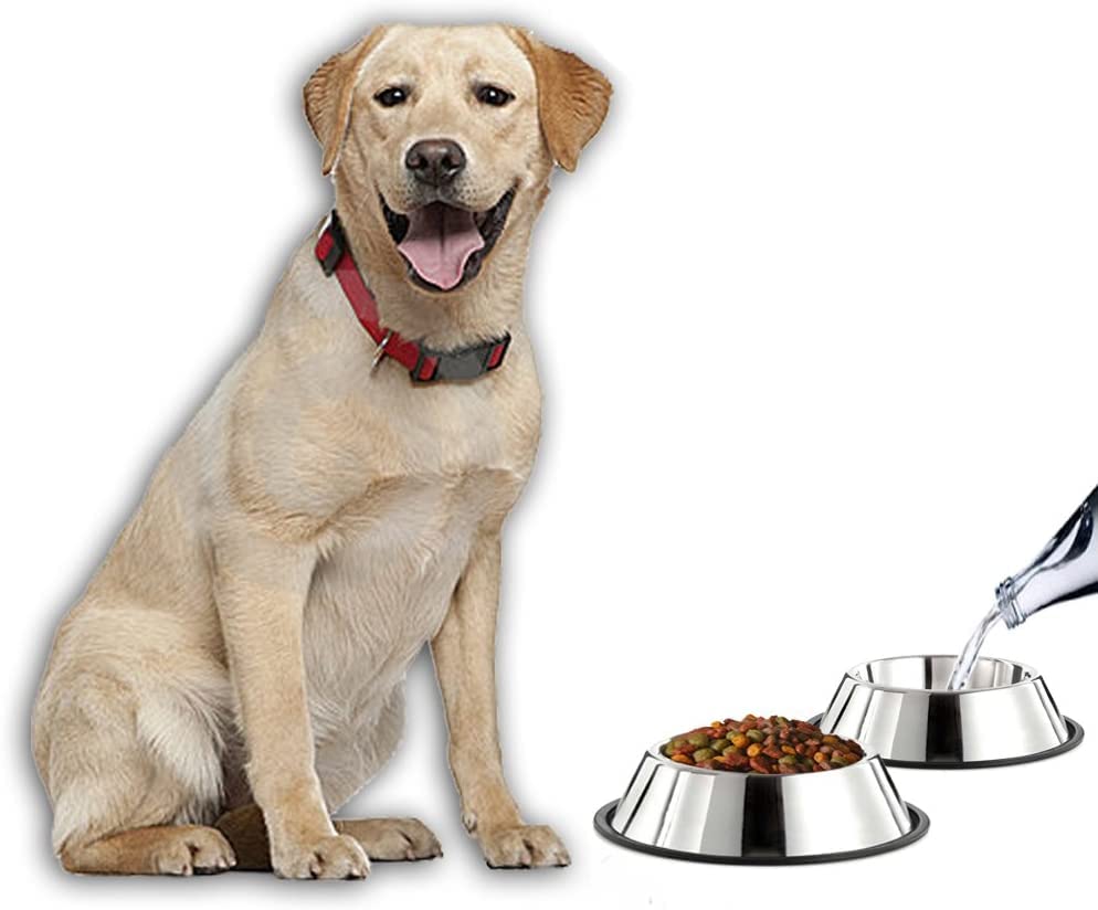 GPET Dog Bowl 32 Oz Stainless Steel Bowls with Anti-Skid Rubber Base for Food or Water Perfect Dish for Dog Puppy Cat and Kitten (2 Pack)