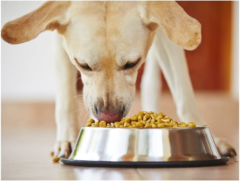 GPET Dog Bowl 32 Oz Stainless Steel Bowls with Anti-Skid Rubber Base for Food or Water Perfect Dish for Dog Puppy Cat and Kitten (2 Pack)