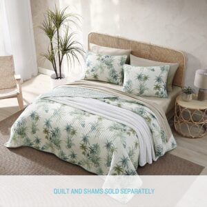 Tommy Bahama - King Quilt, Cotton Reversible Bedding, Pre-Washed for Added Softness (Serenity Palm Blue, King)