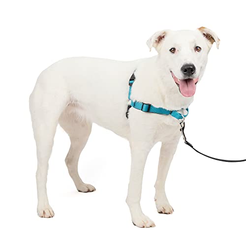 PetSafe Easy Walk Deluxe Dog Harness, No Pull Dog Harness – Perfect for Leash & Harness Training – Stops Pets from Pulling and Choking on Walks – Medium/Large, Ocean