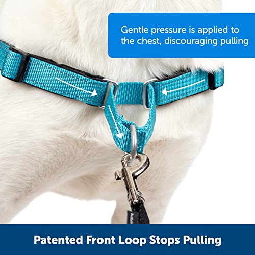 PetSafe Easy Walk Deluxe Dog Harness, No Pull Dog Harness – Perfect for Leash & Harness Training – Stops Pets from Pulling and Choking on Walks – Medium/Large, Ocean