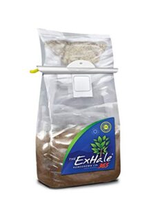 exhale homegrown co2 365 - self-activated bag with hanger & twin canaries chart for grow rooms & tents - great for indoor grow rooms - co2 for grow tents - 4lbs