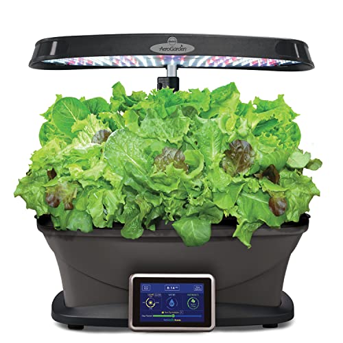 Aerogarden Salad Greens Seed Pod Kit with Red, Green, Romaine and Butter Leaf Lettuce, Liquid Plant Food and Growing Guide (9-Pod)