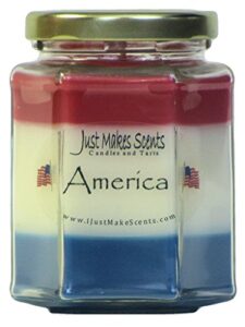 america - patriotic red, white & blue blended soy candle by just makes scents - great for veterans day, memorial day and independance day decorations