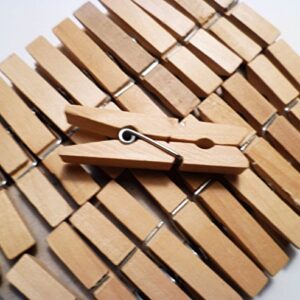 Sturdy Small Craft Clothespins 1 3/4" - 24/pkg