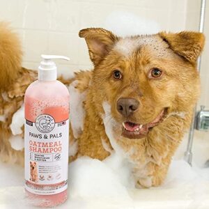 6-in-1 Dog Shampoo and Conditioner for Itchy Skin, Made in USA - 20oz Vet Formula Natural Medicated Best for De-Shedding, Itch Relief, Smelly Odor, Dry Sensitive Skin - Dogs & Cats Oatmeal Pet Wash