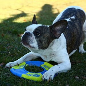 Nerf Dog Toss and Tug Ring Dog Toy, Flying Disc, Lightweight, Durable and Water Resistant, 9 Inch Diameter, For Medium/Large Breeds, Two Pack, Green and Orange