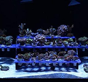 Innovative Marine Reef Rack - Coral Frag Rack (102)