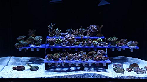 Innovative Marine Reef Rack - Coral Frag Rack (102)